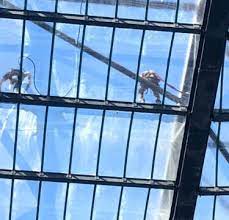 Factory Roof Cleaning